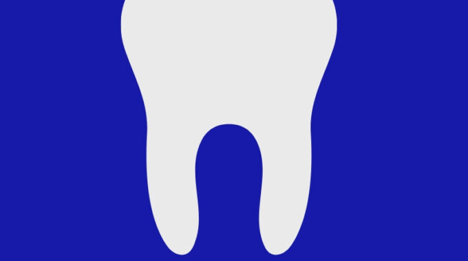 Facts About The Teeth