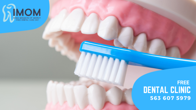 Free Dental Care Muscatine