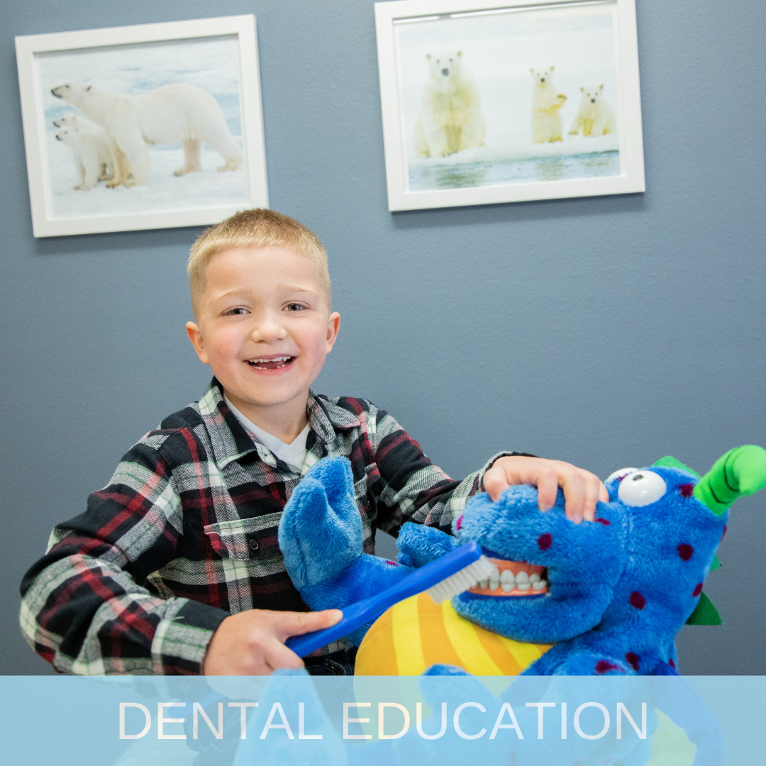 Dental Education