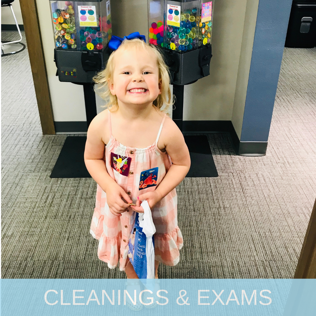 Cleanings and Exams